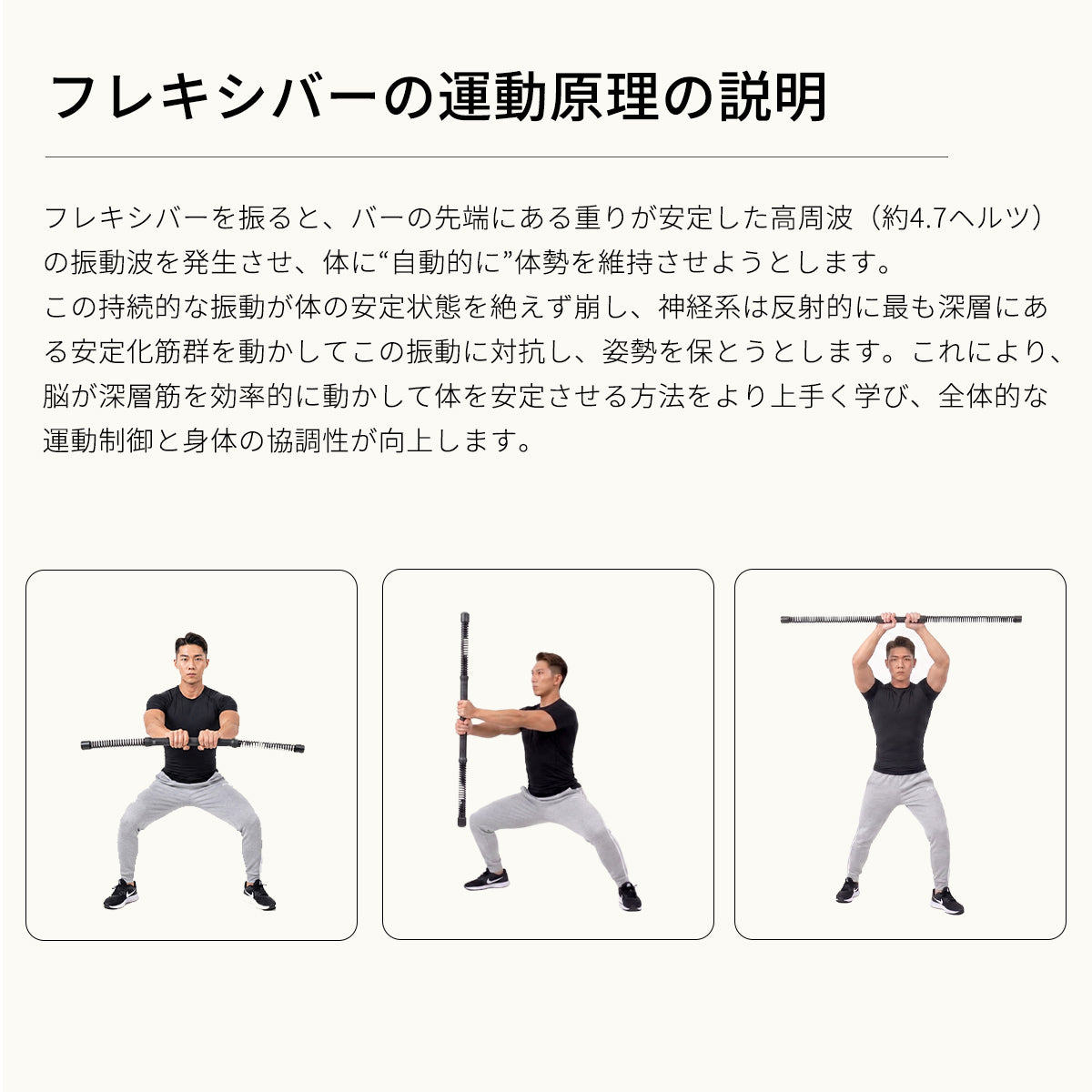 【2in1】コードレス エクササイズバトルロープ